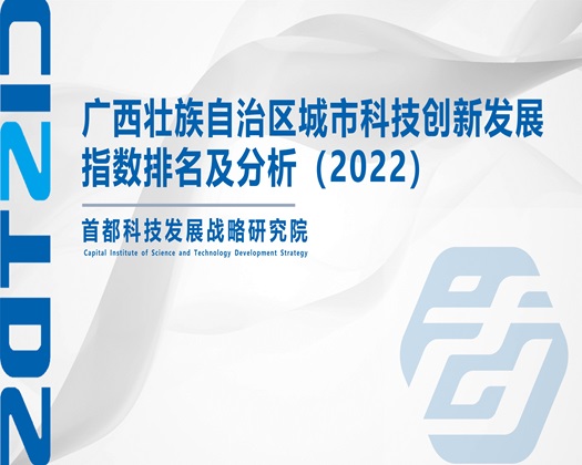 性感骚逼操出水【成果发布】广西壮族自治区城市科技创新发展指数排名及分析（2022）